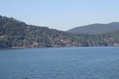 IMG_2895.JPG