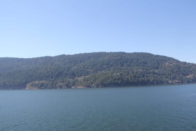 IMG_2896.JPG