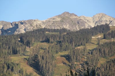 IMG_2944.JPG