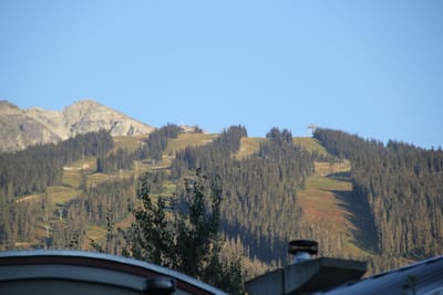 IMG_2946.JPG