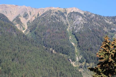 IMG_2962.JPG