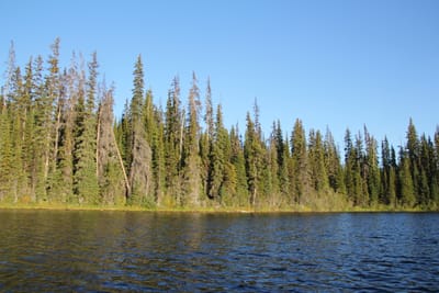 IMG_2979.JPG