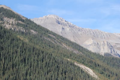 IMG_3042.JPG