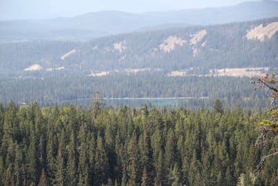 IMG_3050.JPG