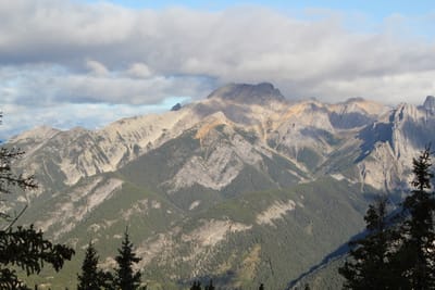 IMG_3125.JPG