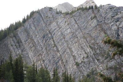 IMG_3142.JPG