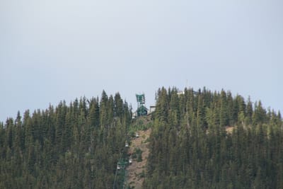 IMG_3145.JPG
