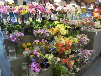 A018.JPG