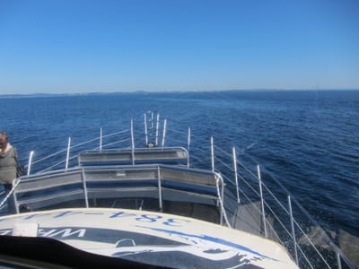 A040.JPG