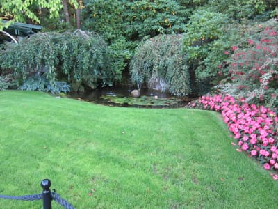 A056.JPG