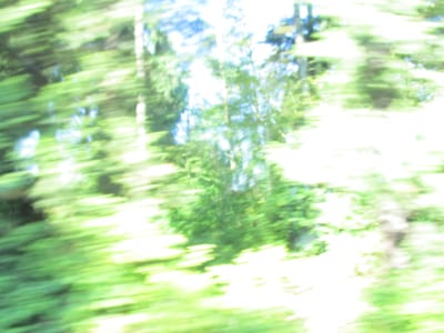 IMG_0770.JPG