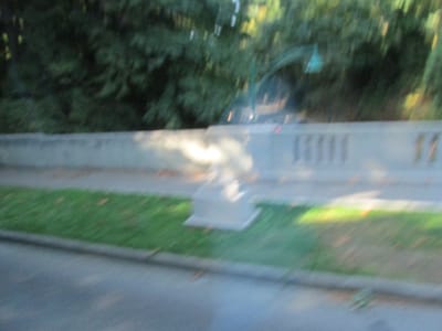 IMG_0772.JPG