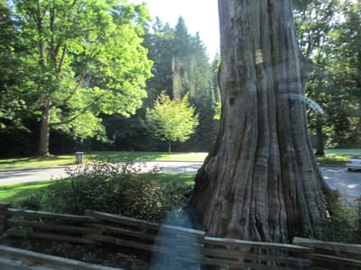 IMG_0777.JPG