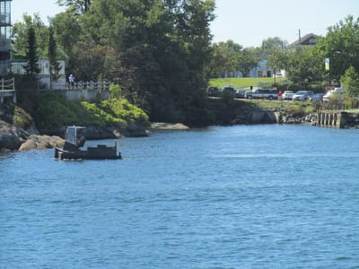 IMG_0927.JPG