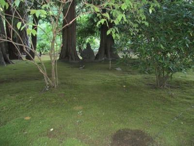 IMG_0947.JPG