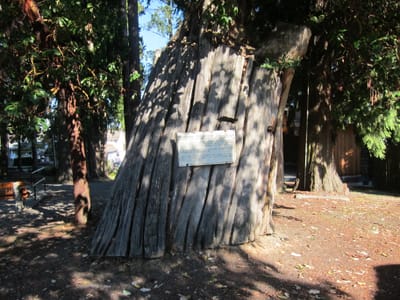 A005.JPG