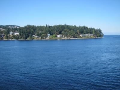 A014.JPG