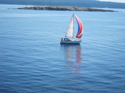 A016.JPG