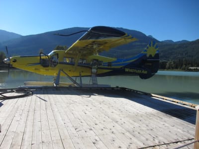 A024 Otter at Whistler.JPG
