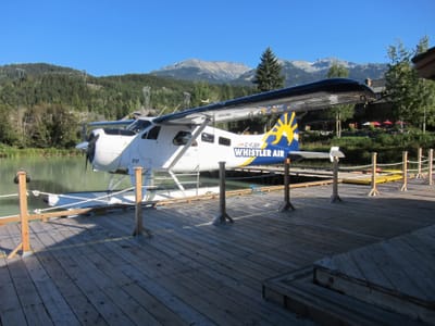A025 Beaver.JPG
