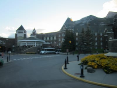 A013.JPG