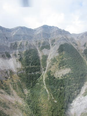 A079.JPG