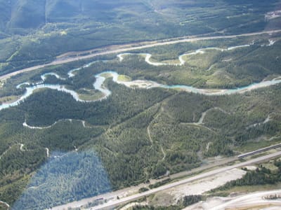 A091.JPG