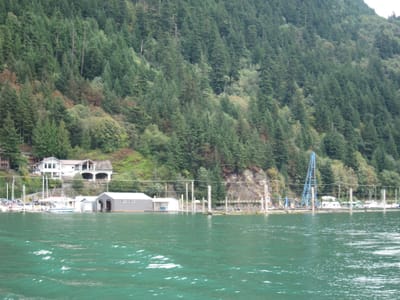 IMG_4202.JPG