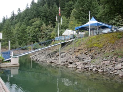IMG_4211.JPG