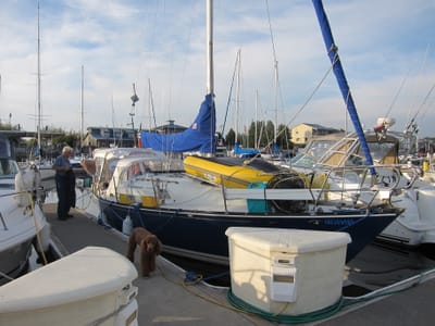 IMG_4233.JPG
