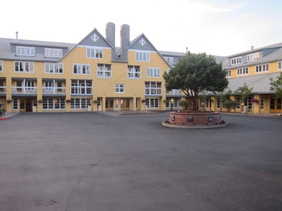IMG_4242.JPG