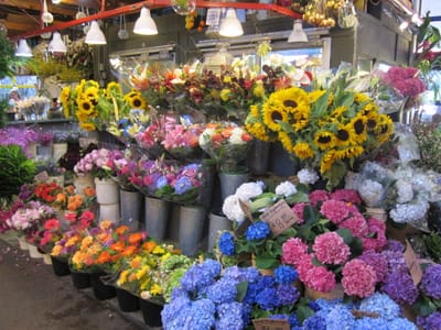 IMG_4277.JPG