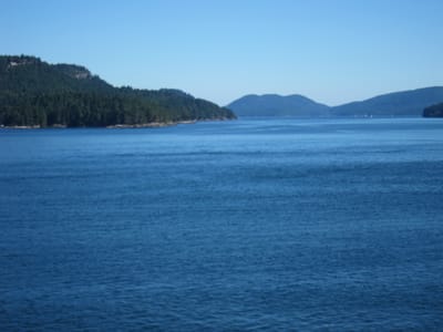 IMG_4281.JPG