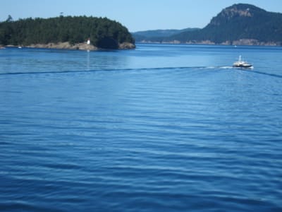IMG_4283.JPG