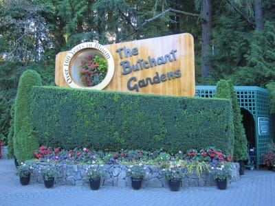 IMG_4325.JPG