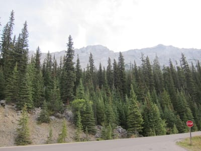 IMG_4411.JPG