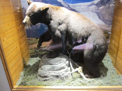 IMG_4441.JPG