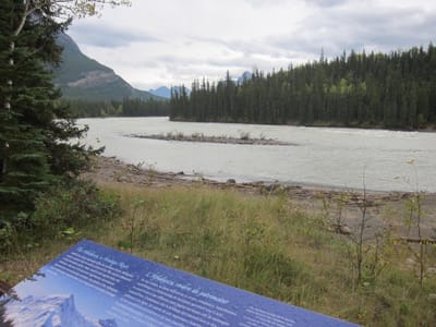 IMG_4446.JPG
