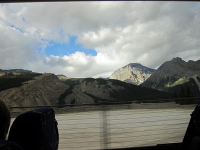 IMG_4456.JPG