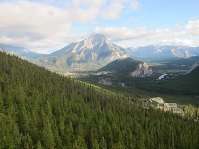IMG_4539.JPG