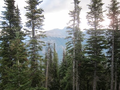 IMG_4550.JPG