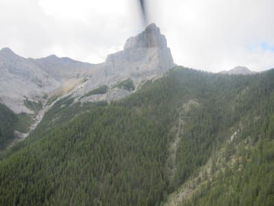 IMG_4571.JPG