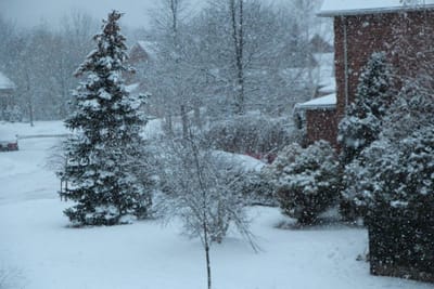 A001 - from Jen's bedroom window.jpg