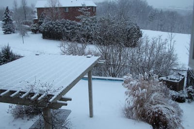 A003 - Jen's back yard.jpg
