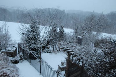 A006 - Garafolo's yard.jpg