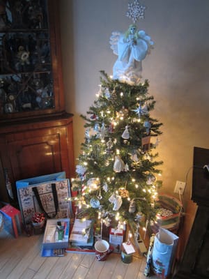 A027 Our tree.JPG