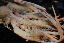 S_DSC_4815.jpg