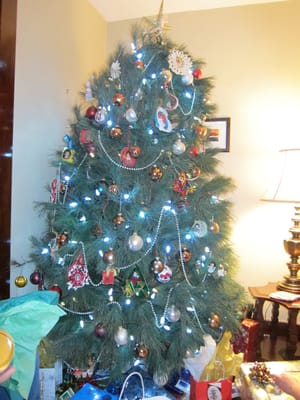 A007 - the tree.JPG