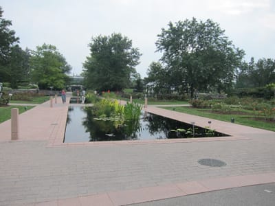 IMG_4135.JPG