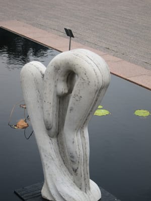 IMG_4138.JPG
